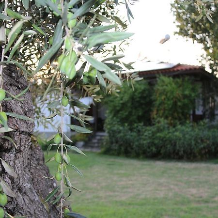 شقة Patroudis House Skala Rachoni  المظهر الخارجي الصورة