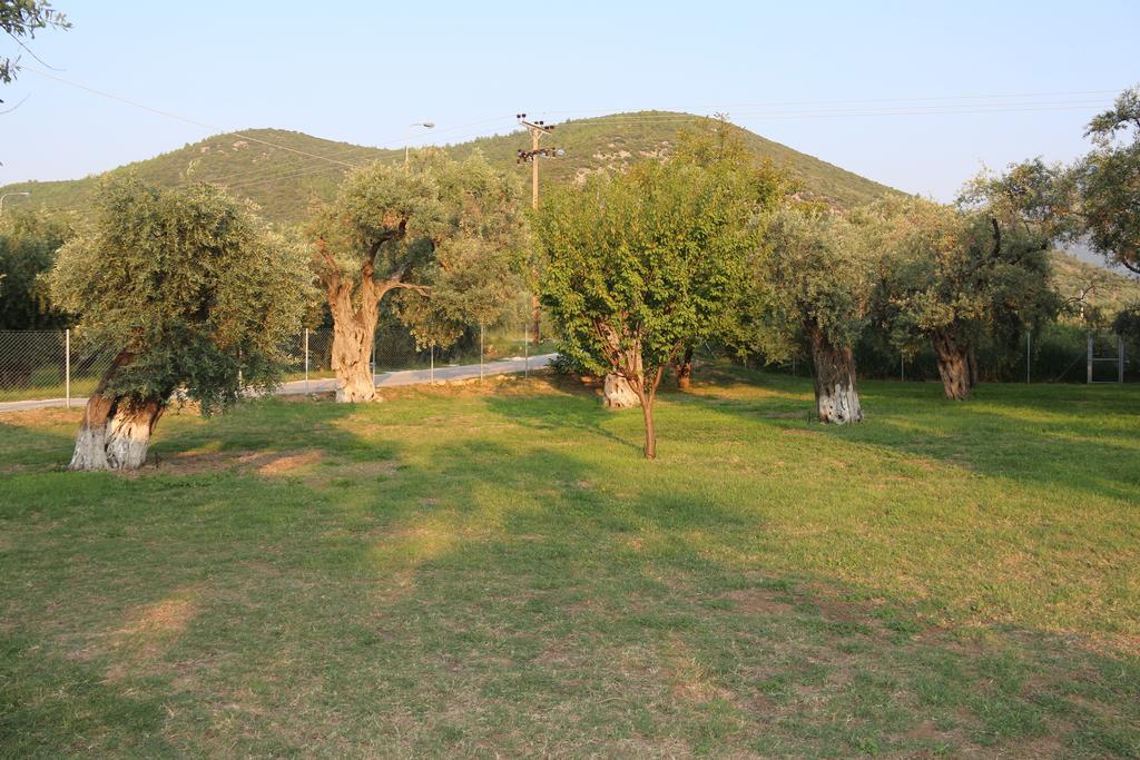 شقة Patroudis House Skala Rachoni  المظهر الخارجي الصورة
