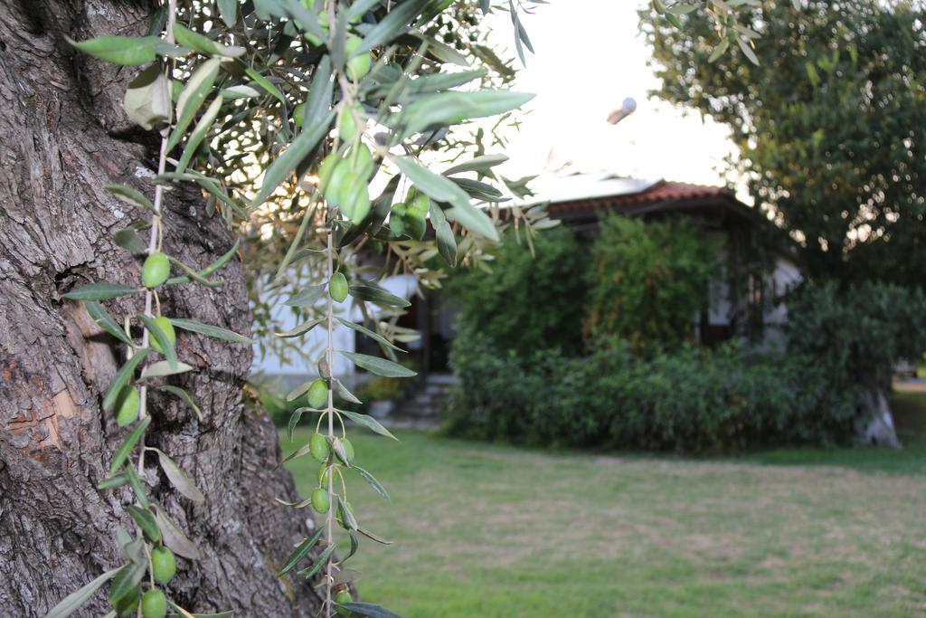 شقة Patroudis House Skala Rachoni  المظهر الخارجي الصورة
