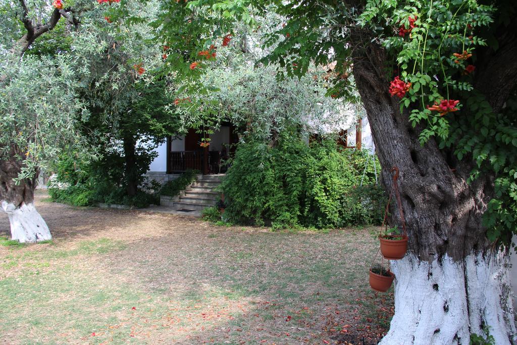 شقة Patroudis House Skala Rachoni  الغرفة الصورة