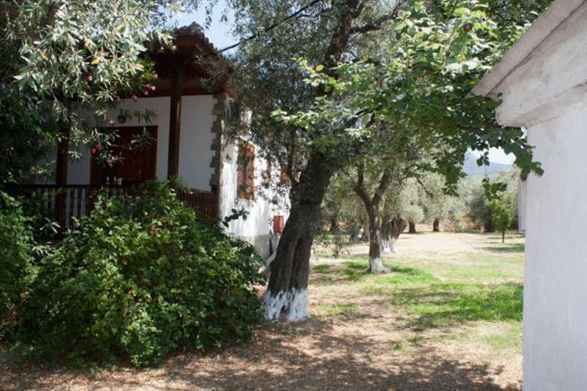 شقة Patroudis House Skala Rachoni  المظهر الخارجي الصورة