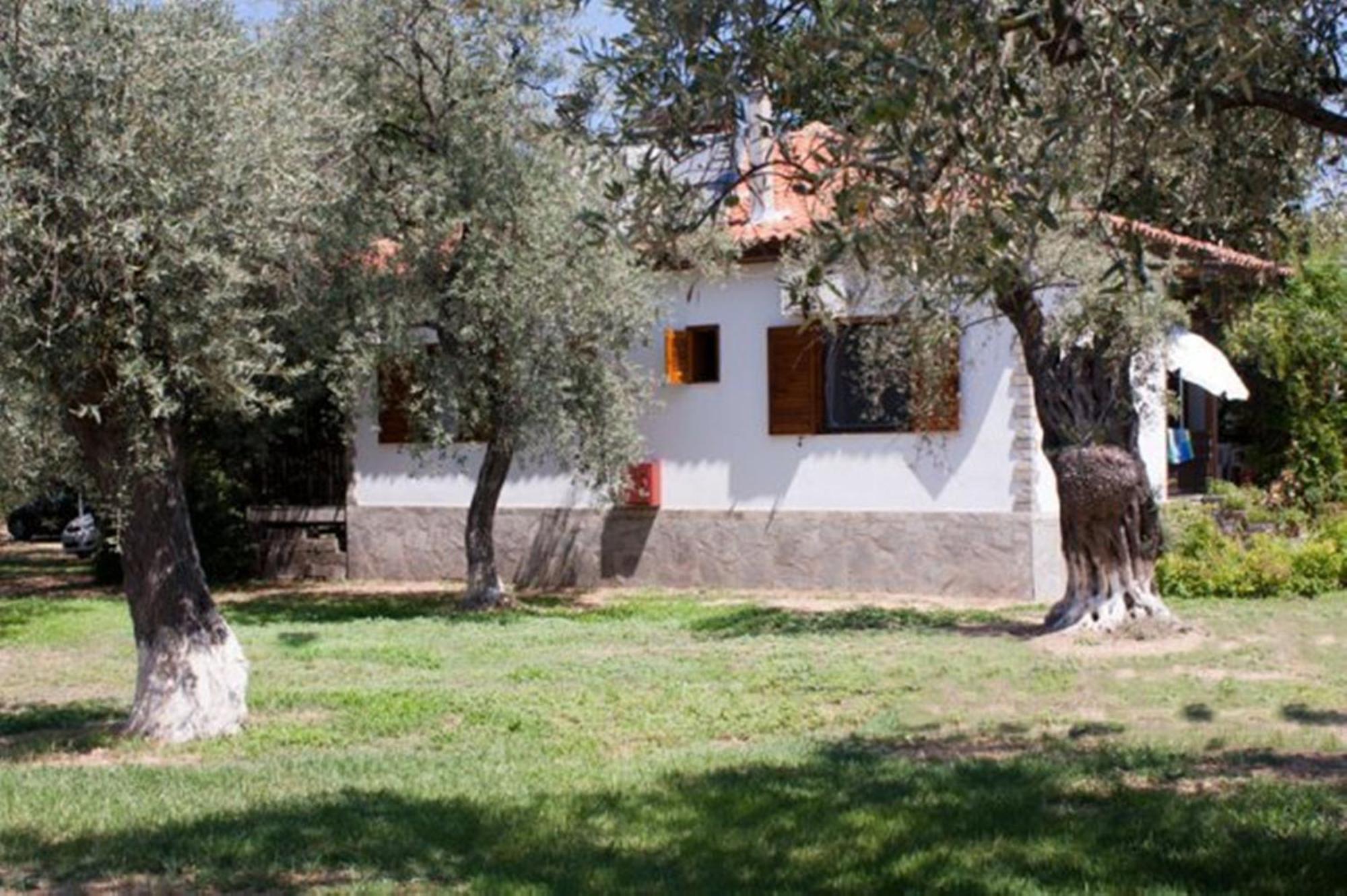 شقة Patroudis House Skala Rachoni  المظهر الخارجي الصورة