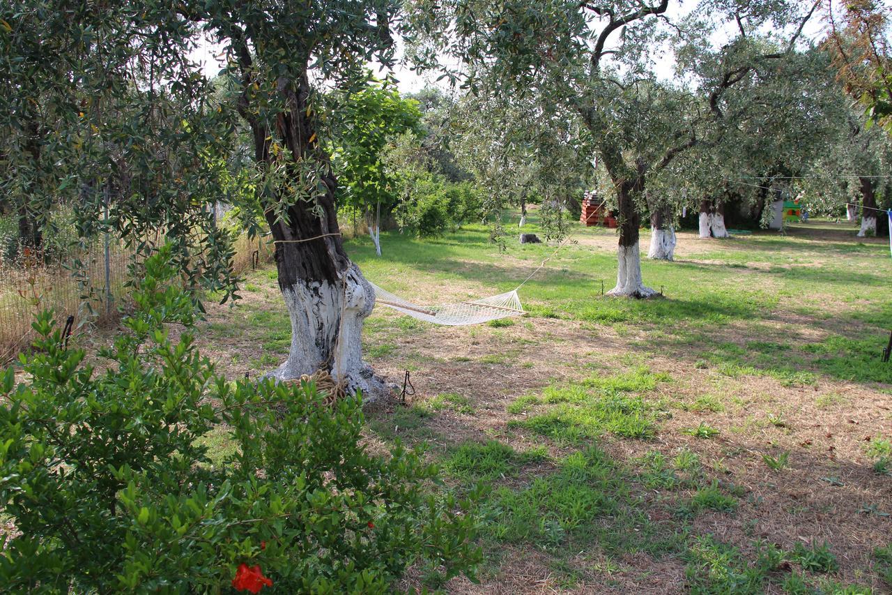 شقة Patroudis House Skala Rachoni  المظهر الخارجي الصورة